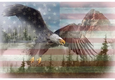 Americana Wild Eagle Quilt Panel
