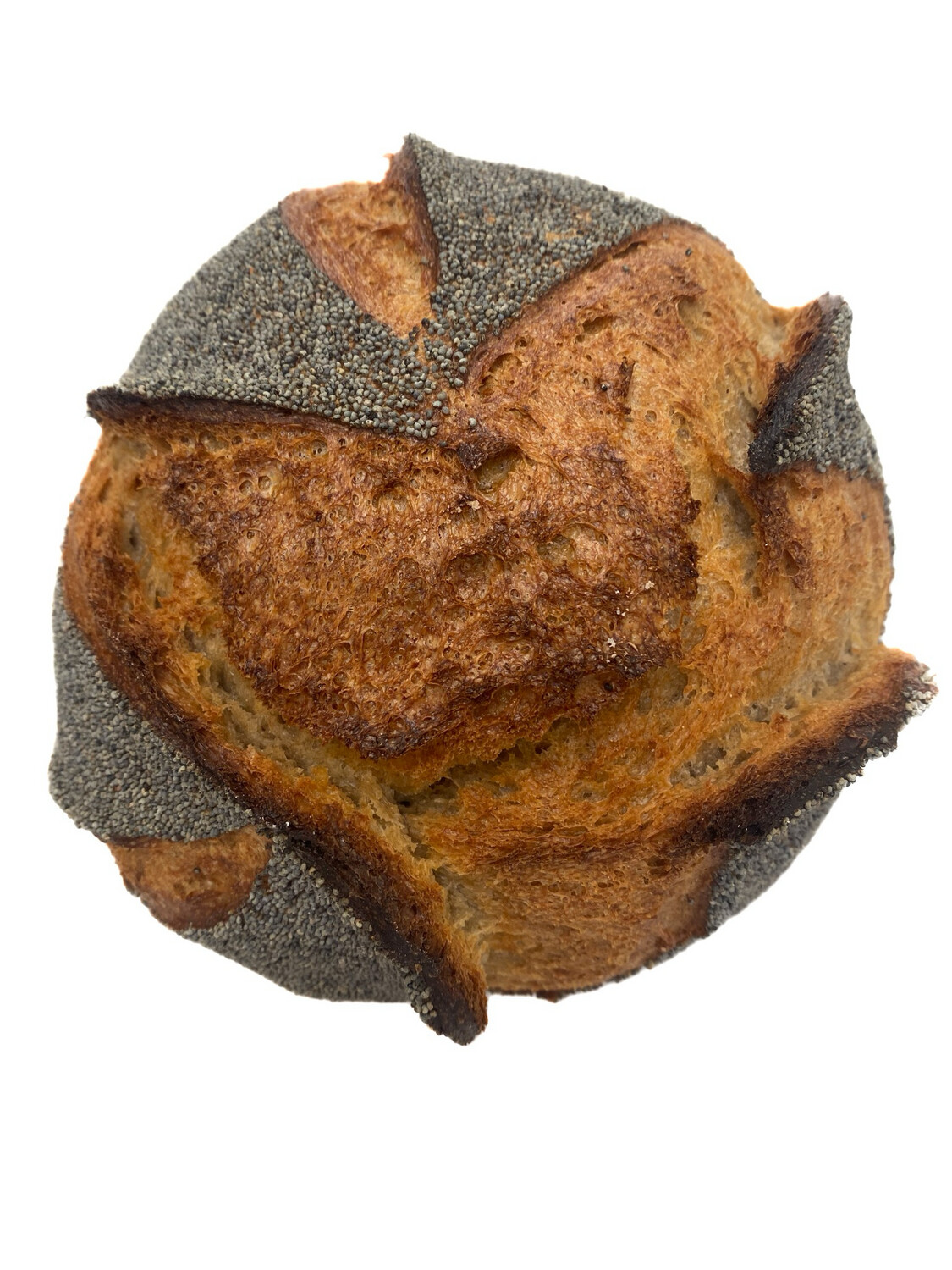sourdough poppyseed white sourdough poppyseed white