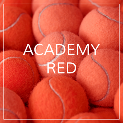 Chieveley - Academy Red - Friday 3.45-4.30pm - 27/9/24 - 20/12/24