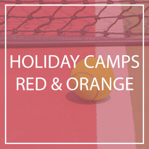 Chieveley - Summer Camps 2024 - Red and Orange Ball (5-10 yr olds) - Tuesday 30th July - 9.30am-12pm