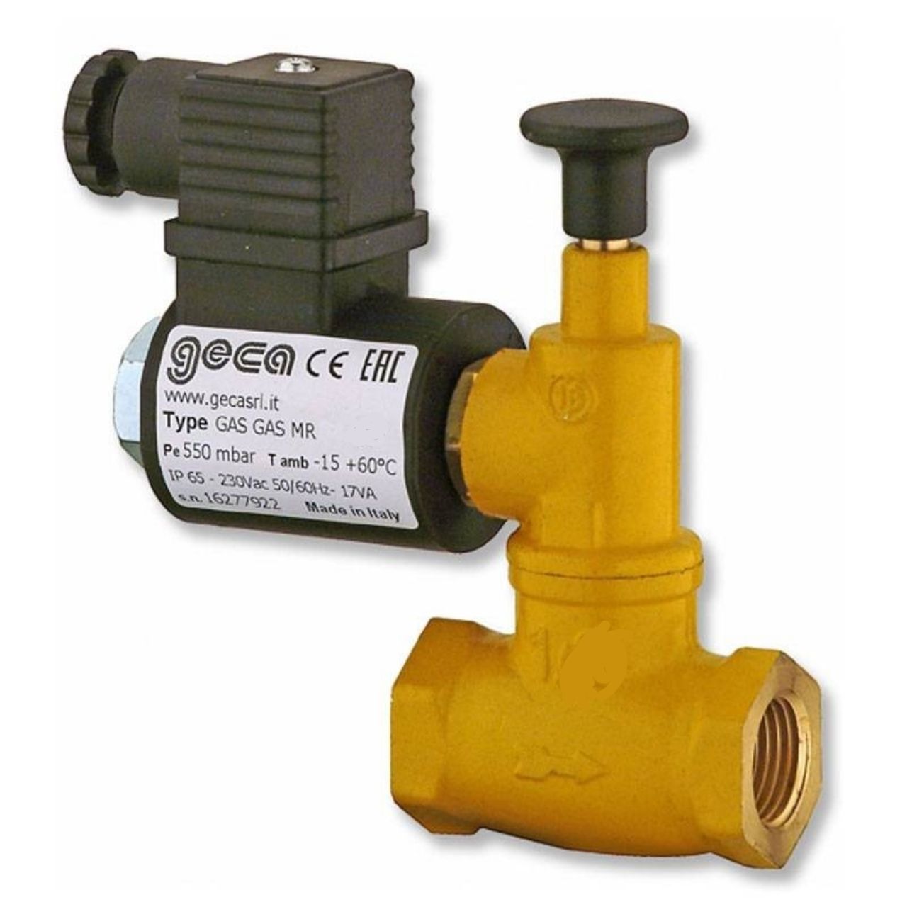 Valvola motorizzata elettrovalvola gas normalmente aperta 1 Valvola motorizzata elettrovalvola gas normalmente aperta 1" FF con bobina 220V