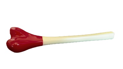 Kangling Cho Trumpet