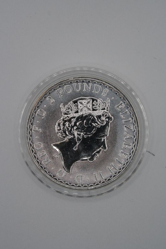 1 oz. Silver Coin