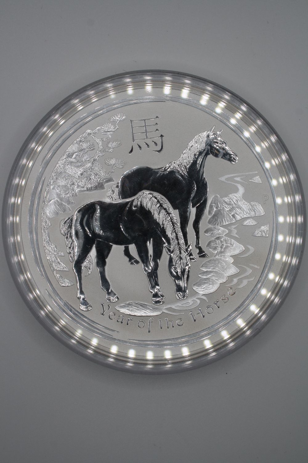 10 oz. Silver Coin