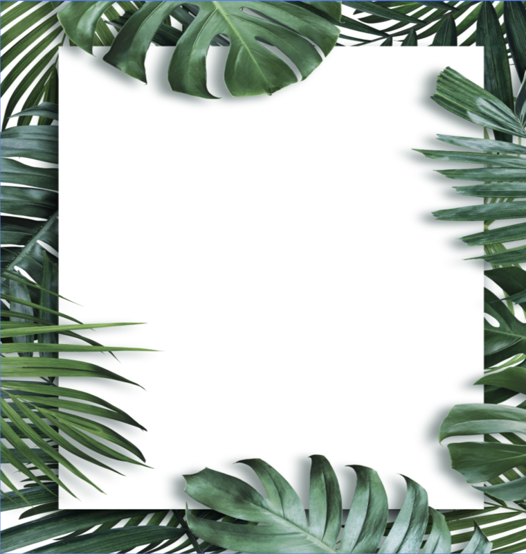 SPOTLIGHT 34/FULL PAGE