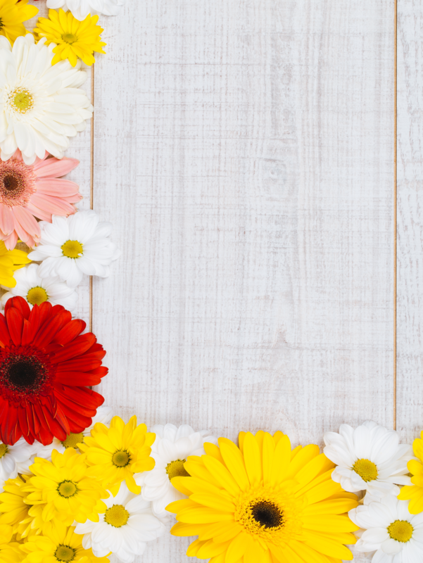 SPOTLIGHT 15/FULL PAGE