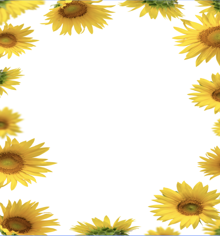 SPOTLIGHT 35/FULL PAGE