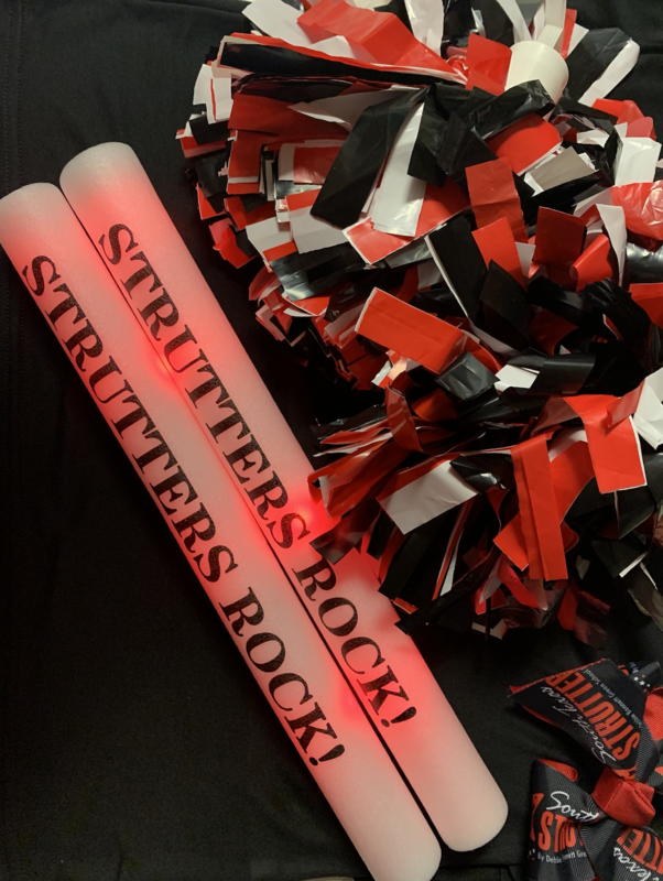 Strutter Light Stick Set