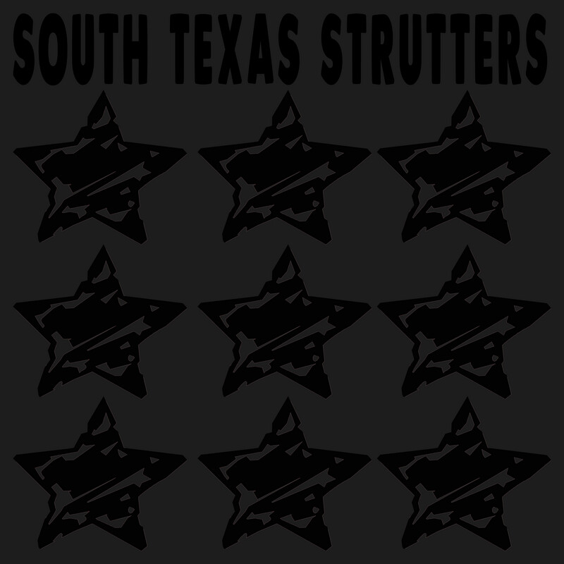 Black Out STS Spirit Shirt (TEMPORARILY UNAVAILABLE-SEE NOTES IN DESCRIPTION)