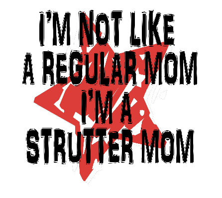I&#39;m Not Like A Regular Mom Fanwear T-shirt