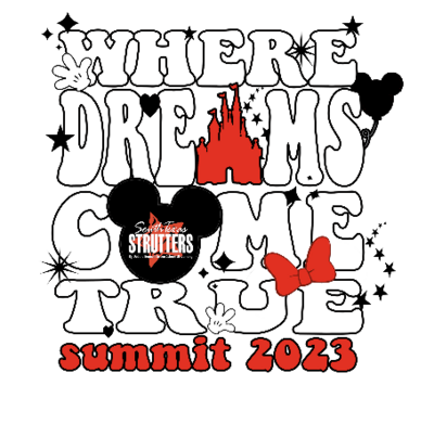 Disney Summit T-Shirt 2023 (FAN SHIRT ONLY)