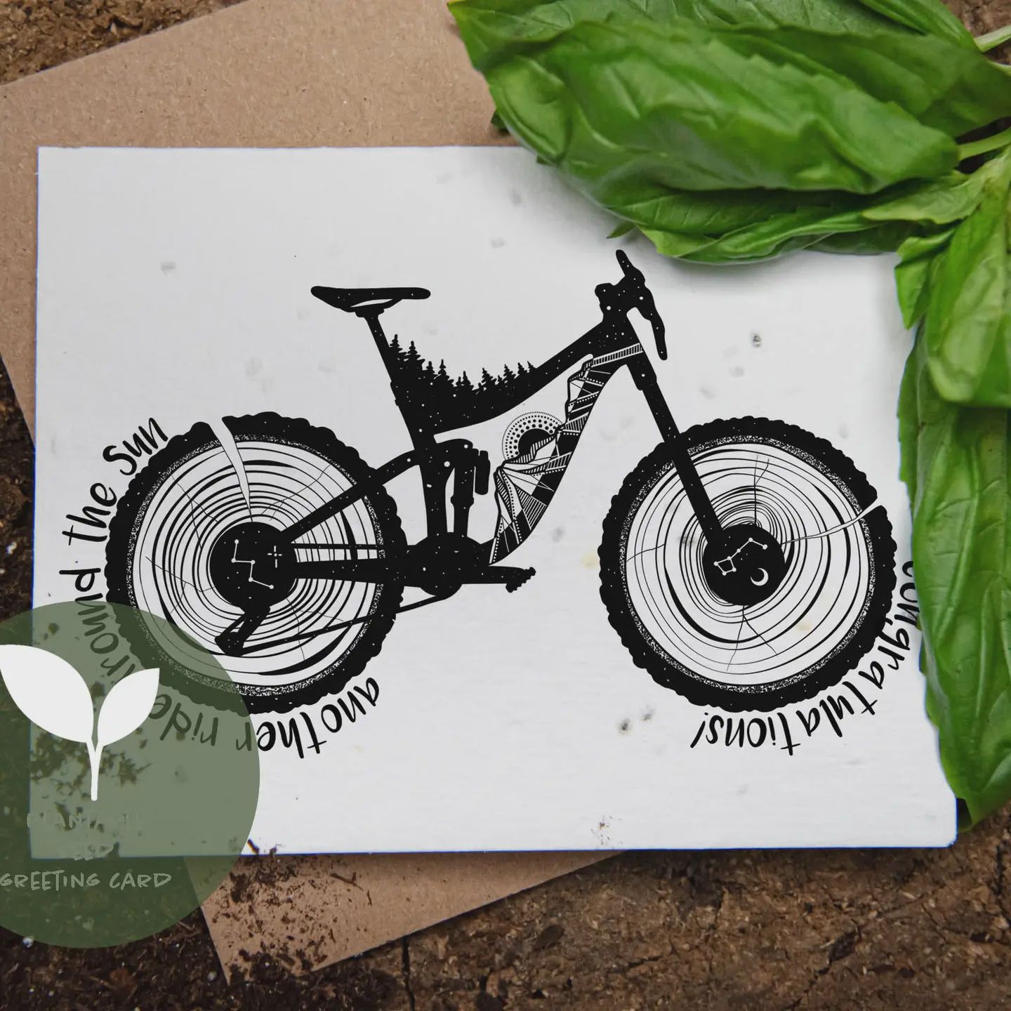 Plantable Greeting Cards - Assorted, Pattern: another ride around the sun - wildflower