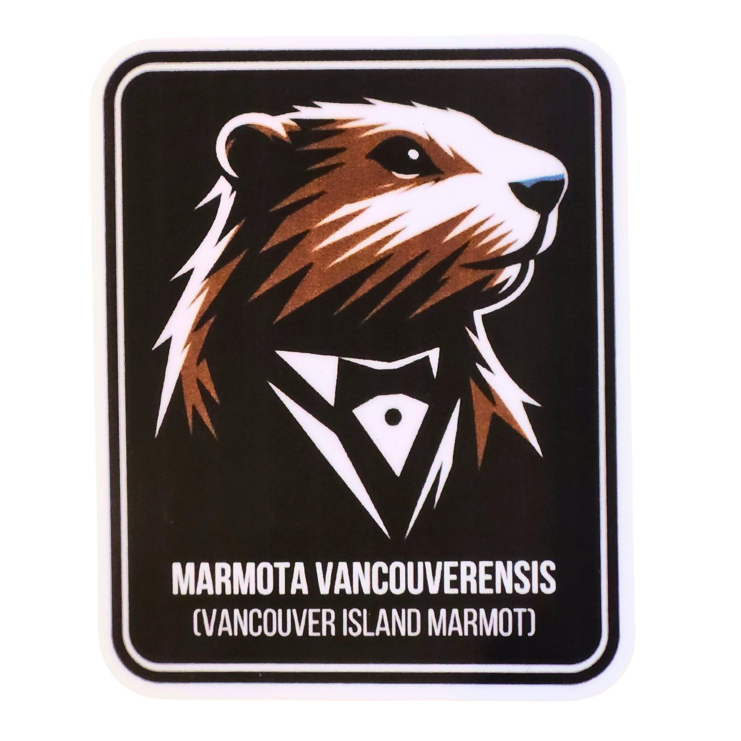Vancouver Island Stickers - Assorted Designs, Design: vi marmot tux