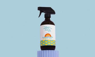 Minty Fresh Glass Cleaner | 16oz