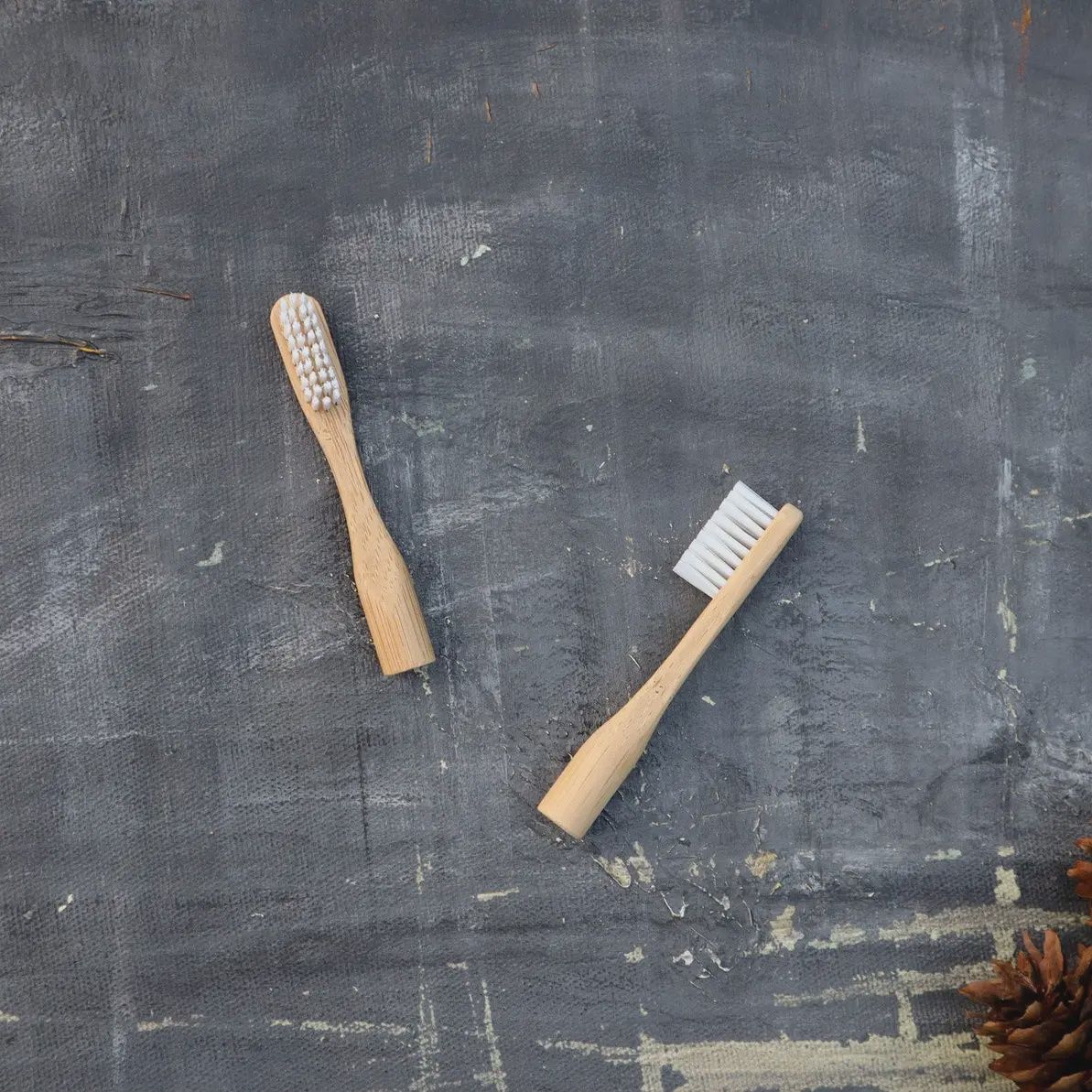 Refillable Bamboo Toothbrush, Type: 2 refill heads