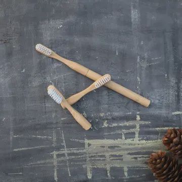 Refillable Bamboo Toothbrush