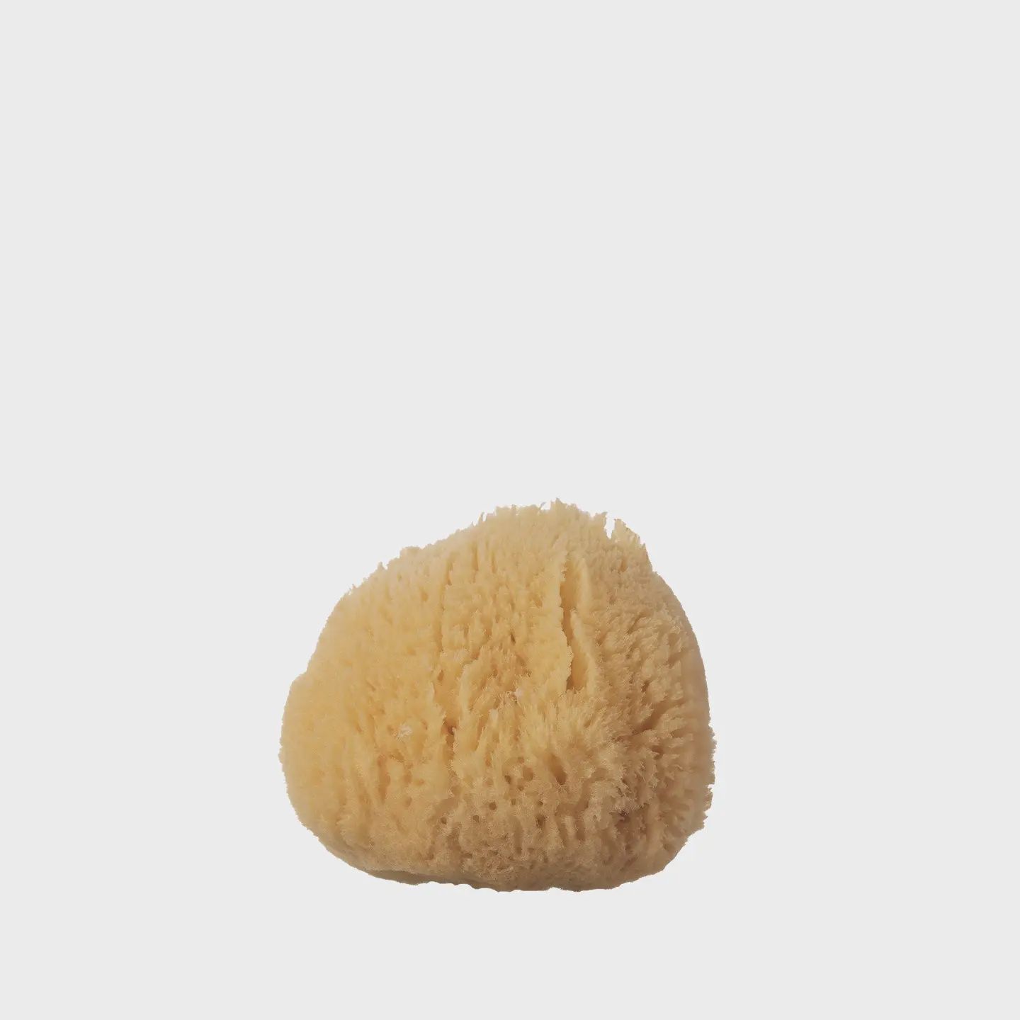 Sea Sponge | Silk, Size: s | 5-7cm