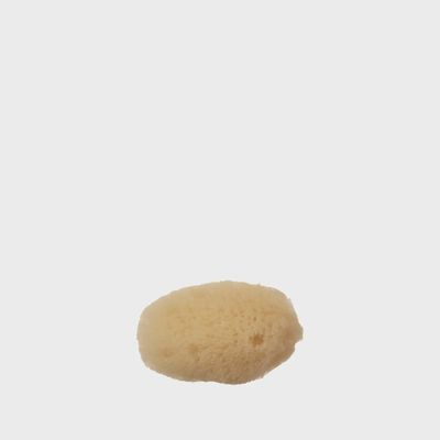 Sea Sponge | Silk