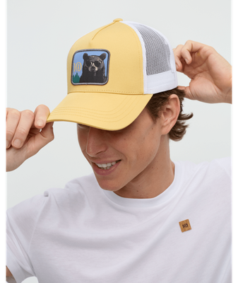 U Lake Logo Altitude Hat