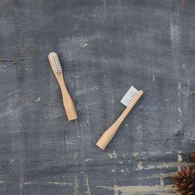 Refillable Bamboo Toothbrush Set