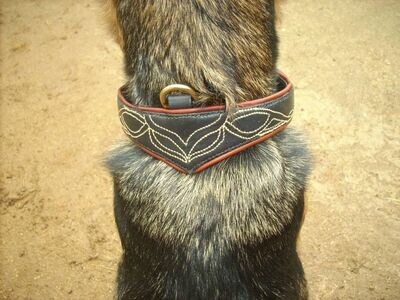 Chien