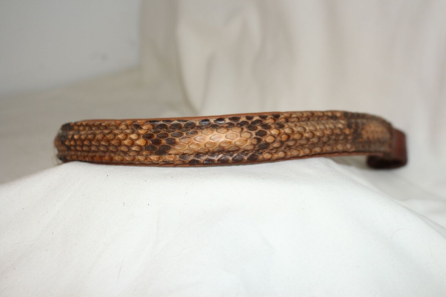 Frontal Python / Havane