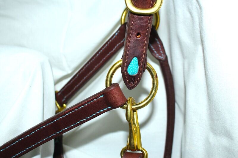 Licol Goutte Bleu Turquoise
