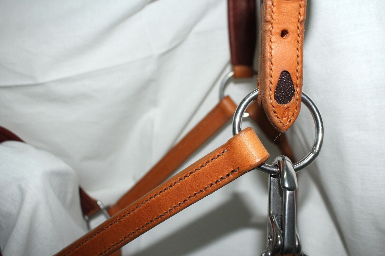 Licol Goutte Marron