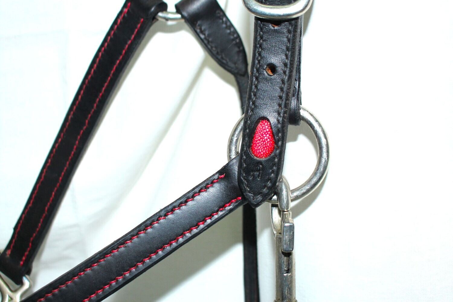 Licol Goutte Rouge