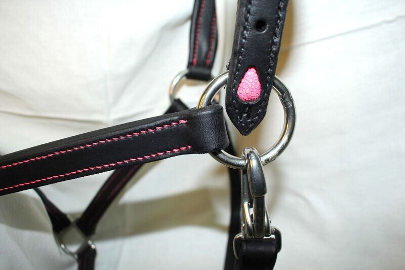 Licol Goutte Noir/Rose