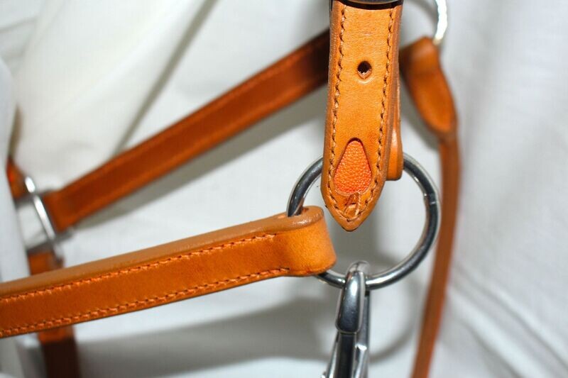 Licol Goutte Orange