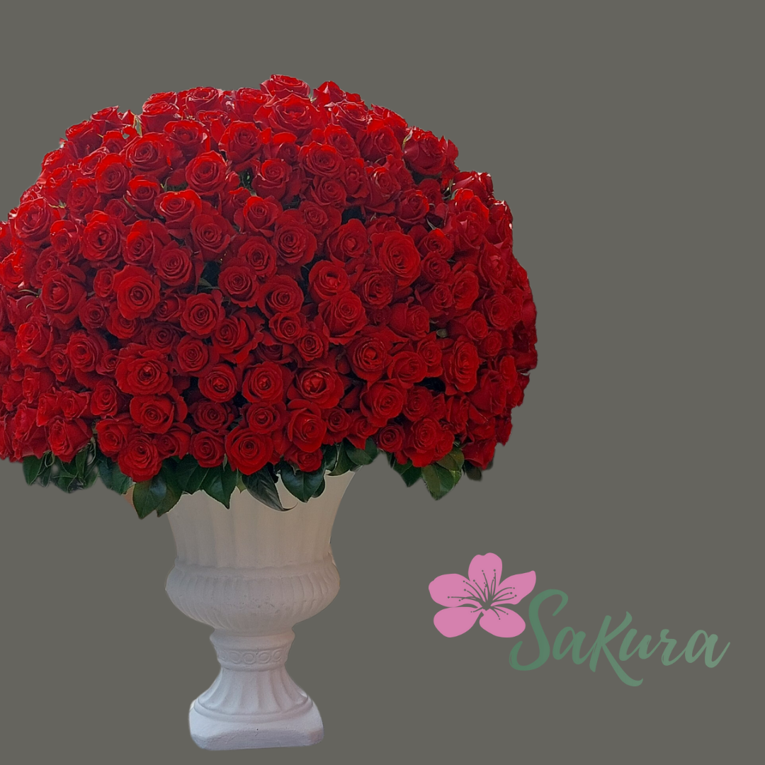 500 rosas