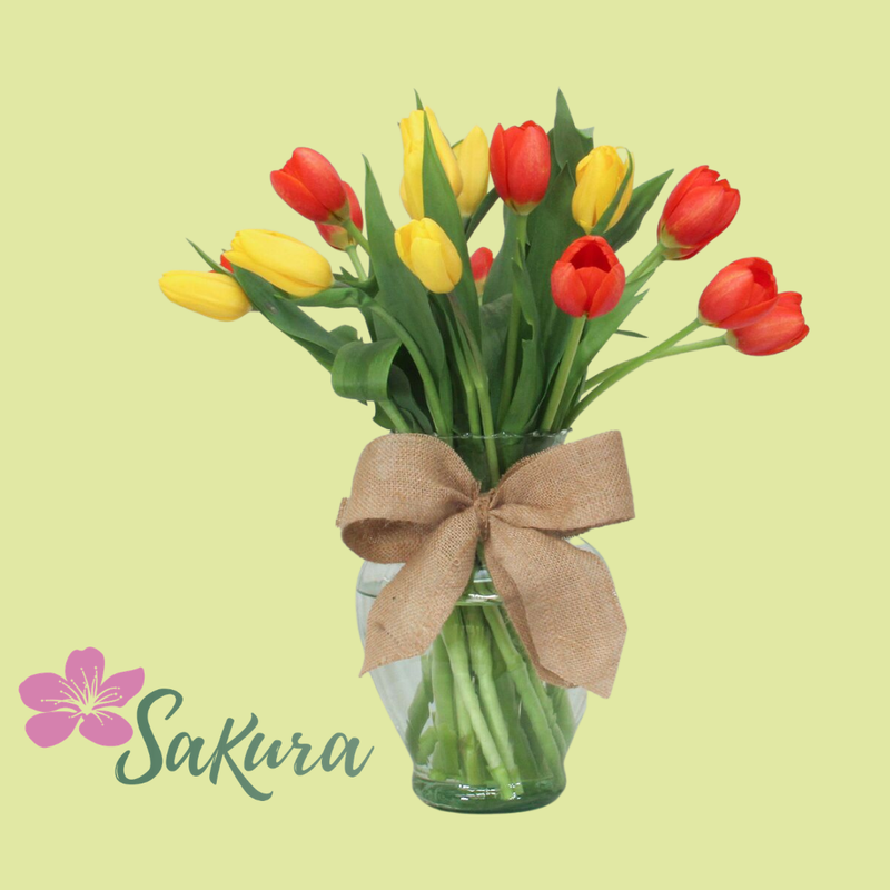 20 tulipanes