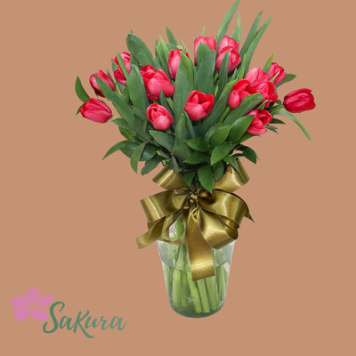 20 tulipanes