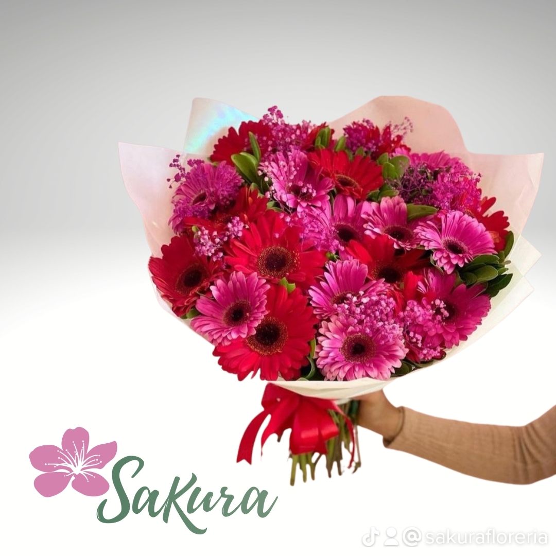 20 Gerberas