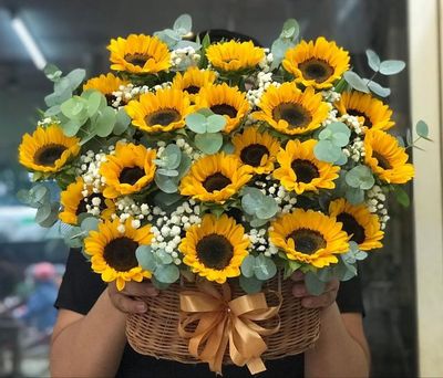 20 girasoles en canasta