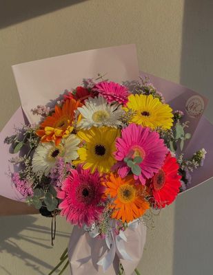 GERBERAS