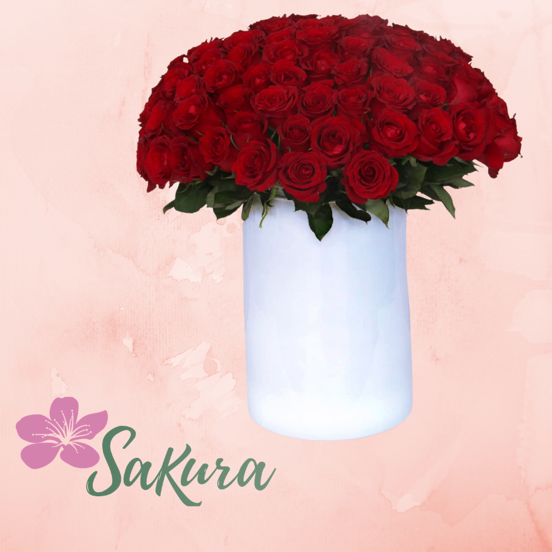 100 rosas  rojas en base de cerámica blanca