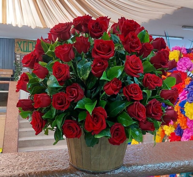 100 rosas rojas en base premium con follaje