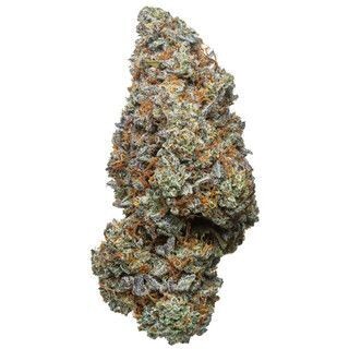 Exotic