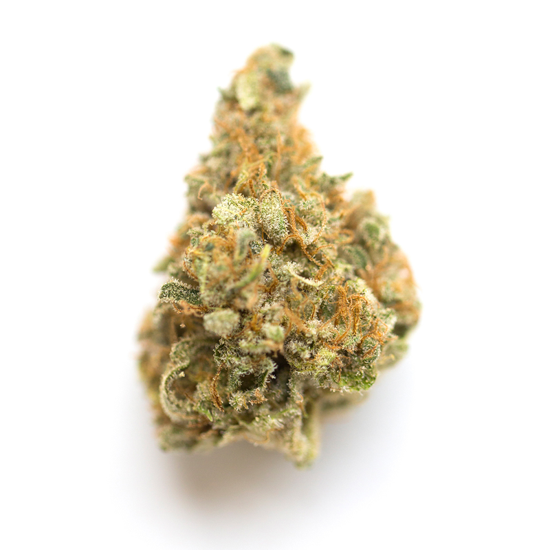 Lollipopz- Indica