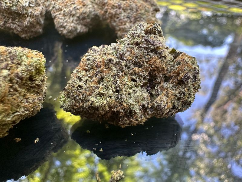 Gas Face - Indica