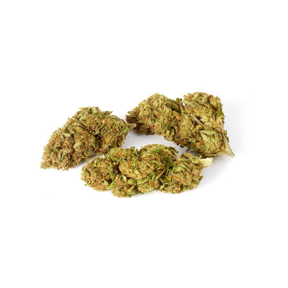 Budget buds