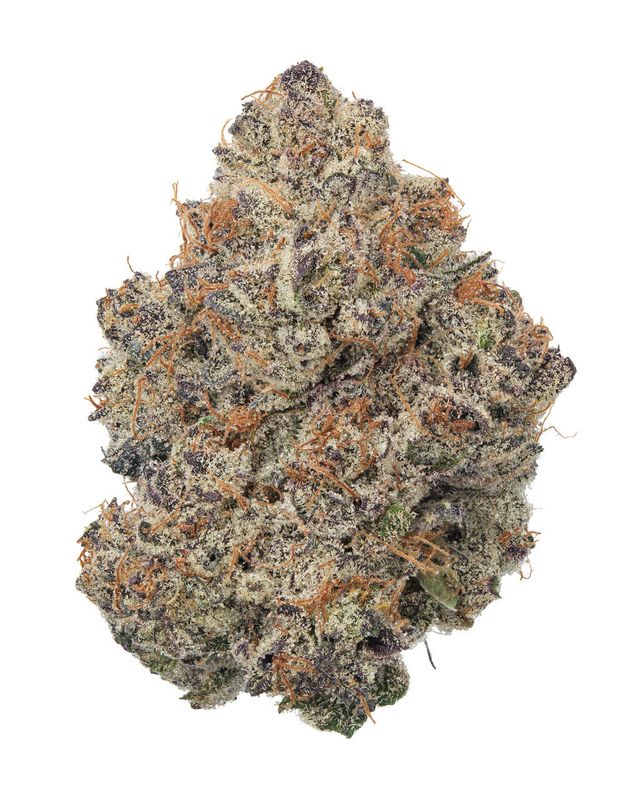 Truffle Cake - Sativa