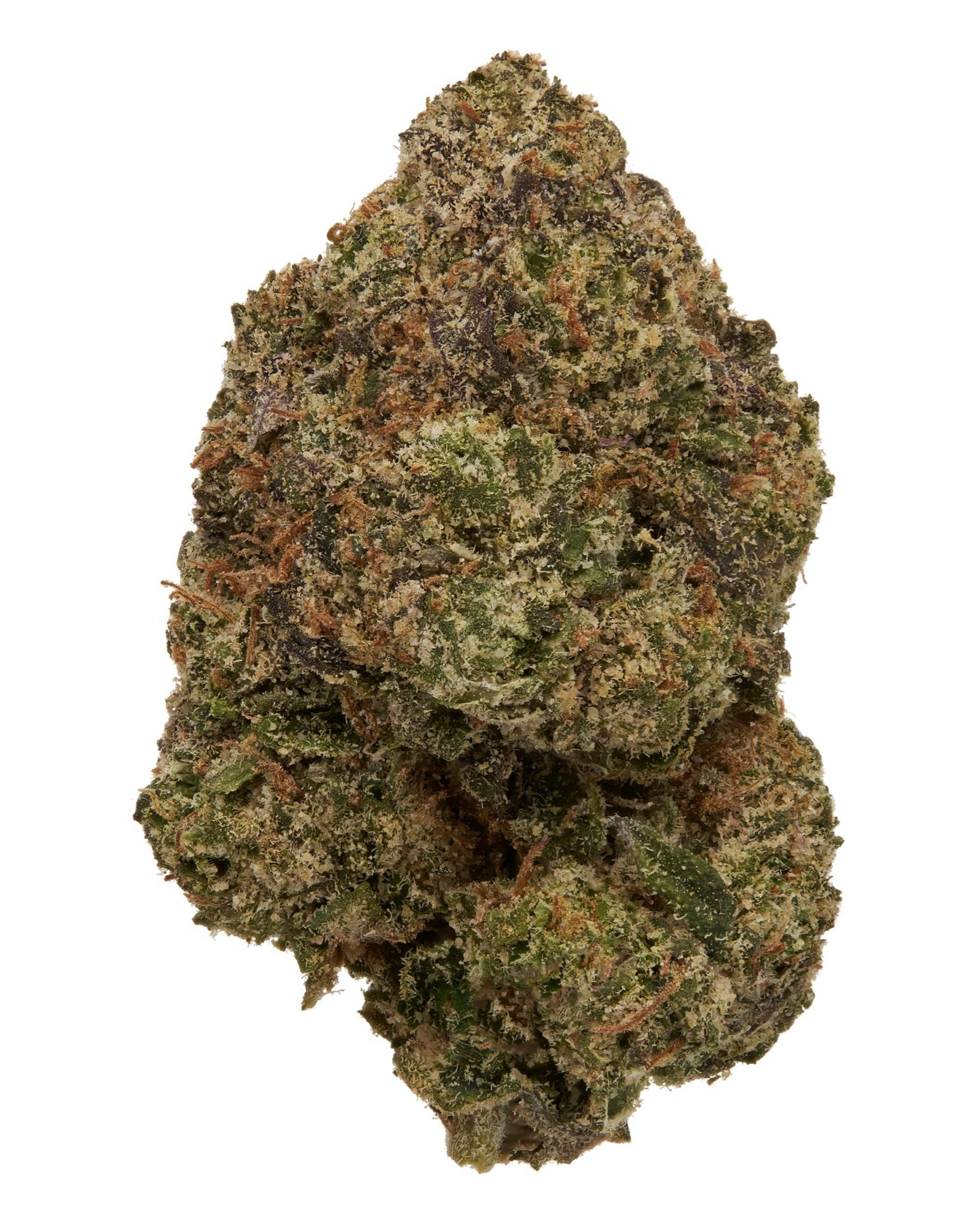 Black Mamba - Indica