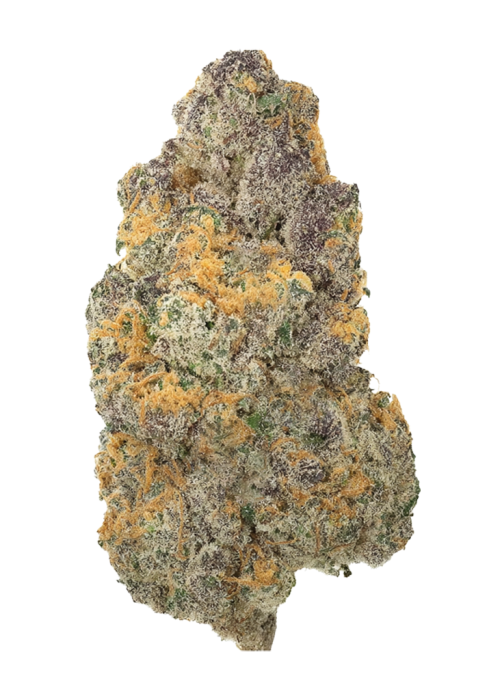 Black Amber - Hybrid