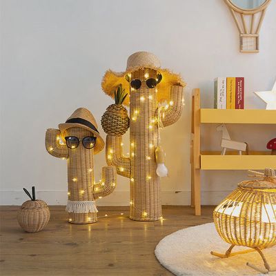 Natural Cactus Decors