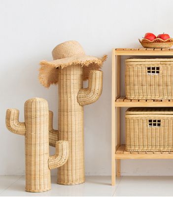 Natural Cactus Decors