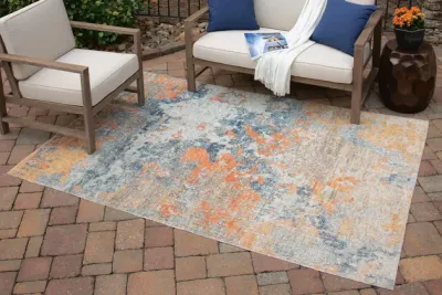 Indoor/Outdoor Rugs