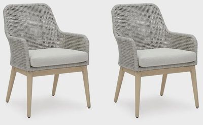 Seton Creek Arm Chair With Cushion (2/CN)